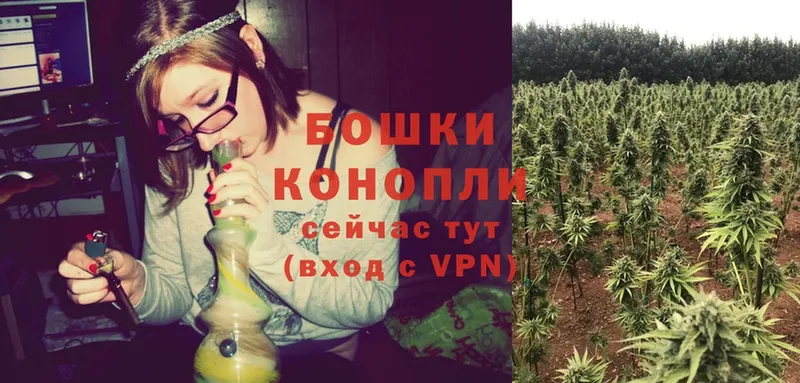 как найти наркотики  Богданович  Шишки марихуана Ganja 